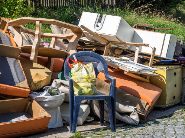 Best Professional Junk Removal  in Hlsboro, IL