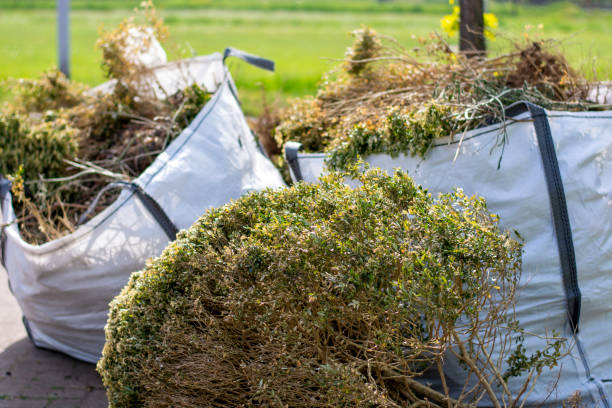Best Electronics Removal Services  in Hlsboro, IL