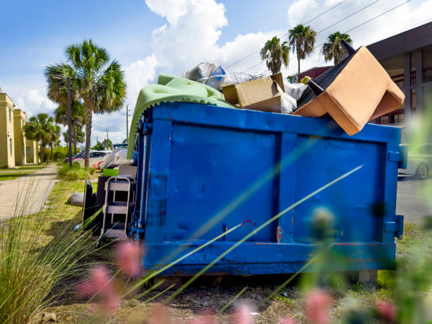 Best Local Junk Hauling  in Hlsboro, IL